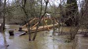 A bridge as an island