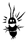 Insect