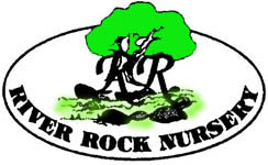 River Rock Nursery