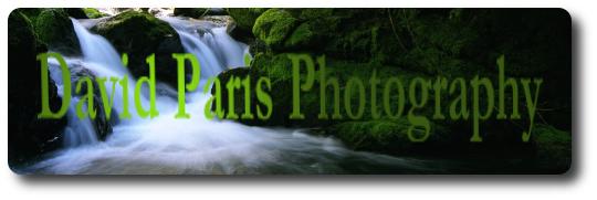 David Paris Photography