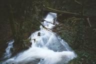 Waterfall Along McKenzie