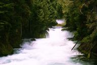 Between Sahalie and Koosah Falls