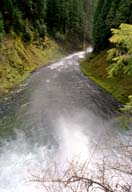 Overlooking Koosah Falls