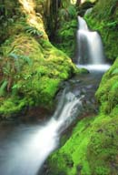 Small Falls Along French Pete Creek