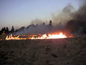 man in the flames