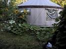 The back of the yurt with sunflowers