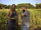 Giving away corn
