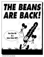 The Beans Are Back!