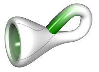 [Klein bottle with differing colors where it self-intersects]