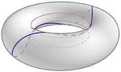 [torus with geodesic that touches each barrier curve once as it makes one full loop in the u direction]