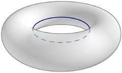 [torus with inner equator highlighted]
