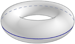 [torus with outer equator highlighted]