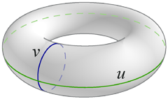 [torus with coordinate axes]