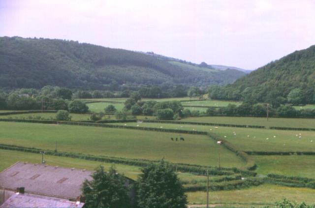 From the Rheidol Railway